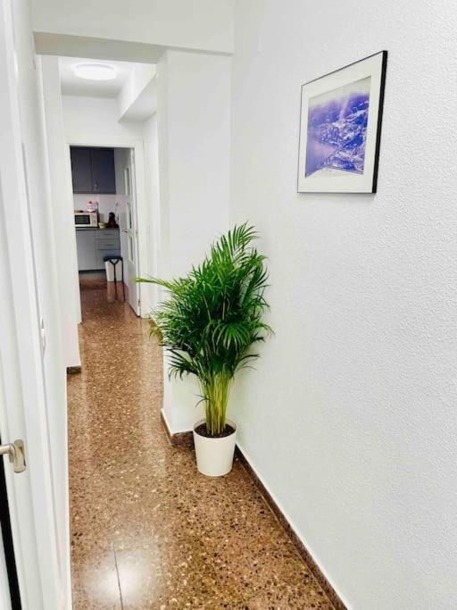 Citadella Apartment Puerto de Sagunto Ngoại thất bức ảnh